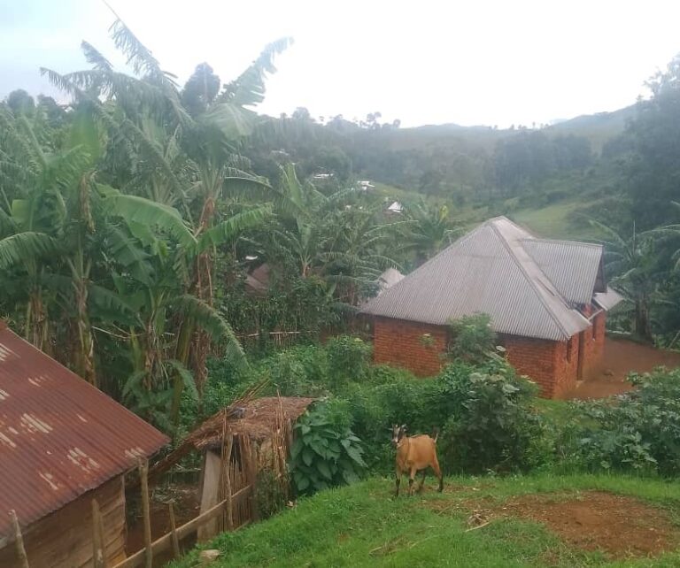 Sud-Kivu : sept camions de vivres du PAM arrivent à Kalonge pour une deuxième assistance humanitaire
