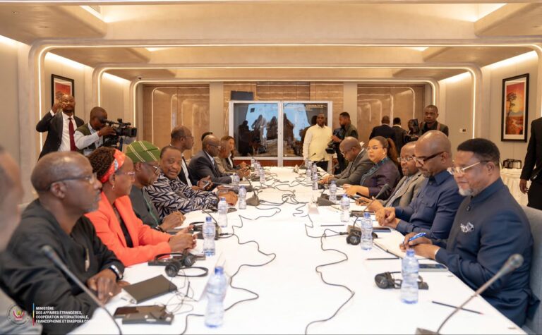 Est de la RDC : le panel de l’UA en séance de travail à Kinshasa